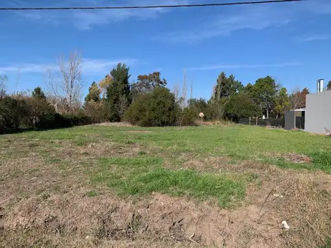 20 de Noviembre al 8600