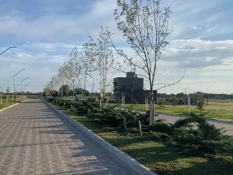 Avenida Constitucion