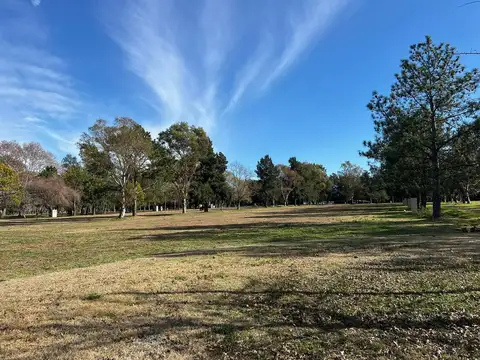 Terreno en Venta 40  mts Fondo