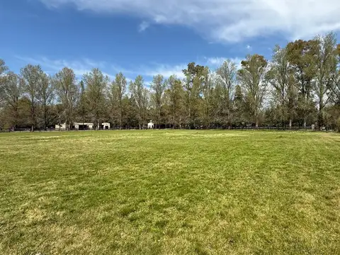 Terreno en Venta de 5000,0 m2