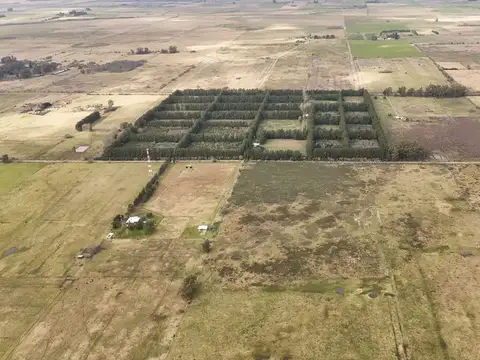 VENTA LOTE 21,45 HECTAREAS, LA PLATA