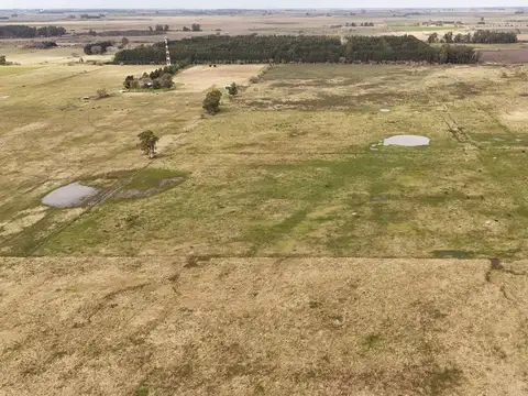 VENTA LOTE 21,45 HECTAREAS, LA PLATA