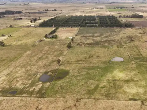  VENTA LOTE 21,45 HECTAREAS, LA PLATA 