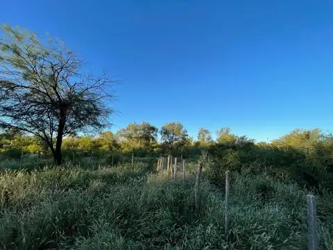 Ruta Nacional 38