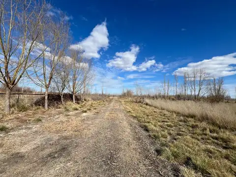 Terreno en Venta de 1716,0 m2