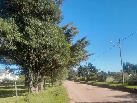 belgrano 1200