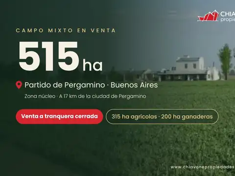 Campo mixto 515 ha – Zona núcleo – Tranquera Cerrada