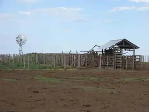 Campo en Venta Industrialización