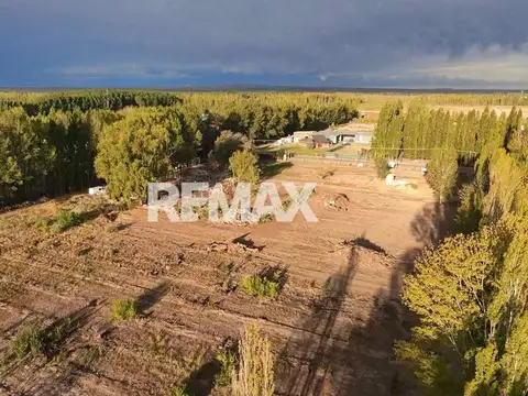 Terreno en Venta en Cipolletti, General Roca