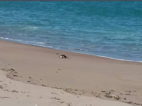 Lote de  1.008 M2 "Las Grutas"  -Piedras Coloradas