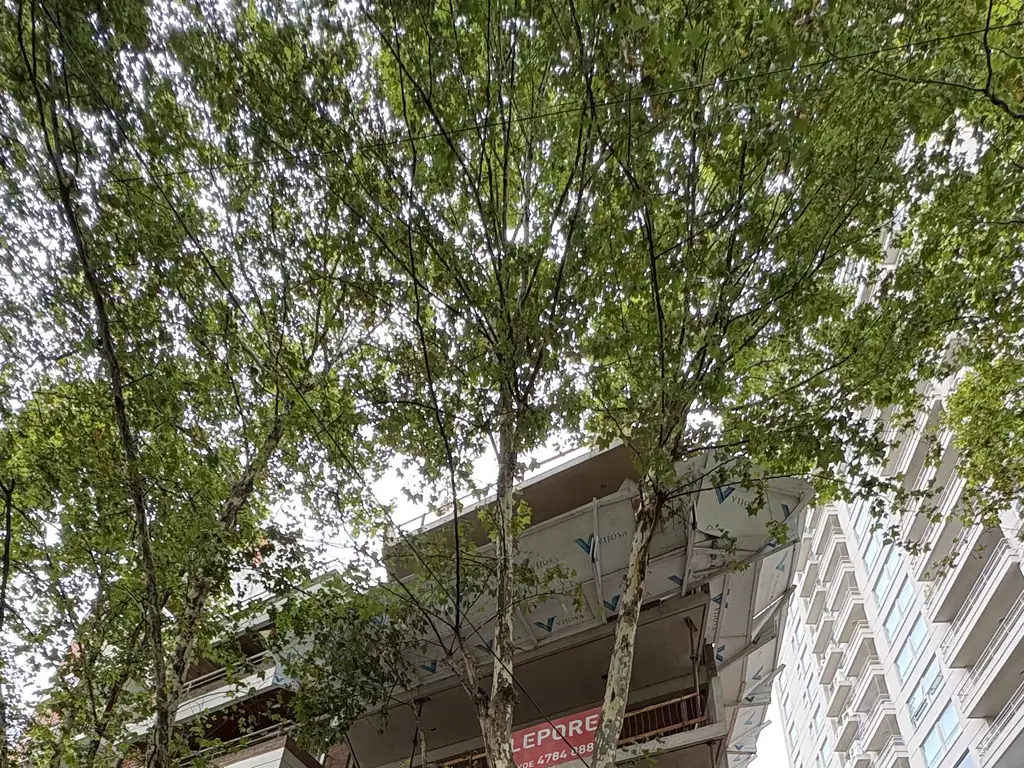 Lavalle Plaza - Foto 47