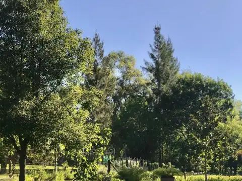 Casa en Venta al Este