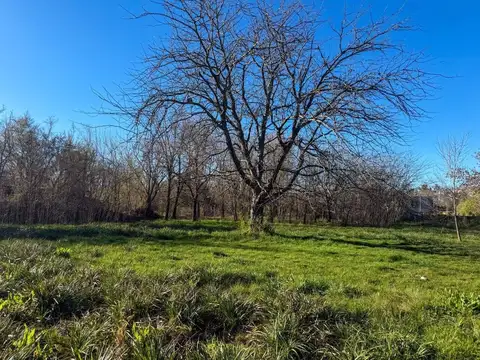 Terreno en Venta en Los Pinos, USD 41.000
