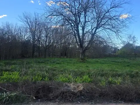Terreno en Venta en Los Pinos, USD 41.000