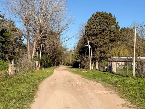LOS PINOS -RUTA 8 KM 72- 100