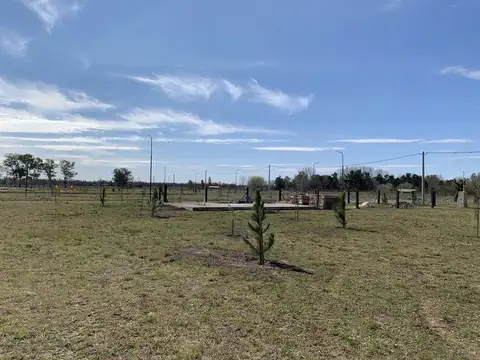 Terreno - Piñero