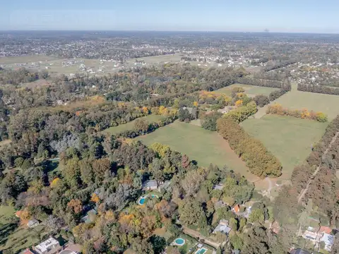 Almahue, La Lonja, Pilar