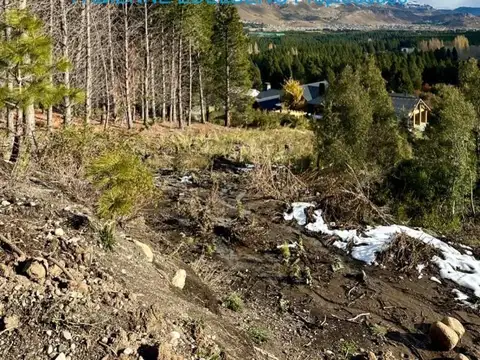 Terreno en Venta en San Martin De Los Andes, USD 90.000