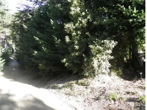 Terreno en Venta 120  mts Fondo