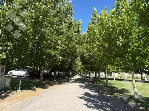 Terreno en Venta en General Roca, USD 48.000
