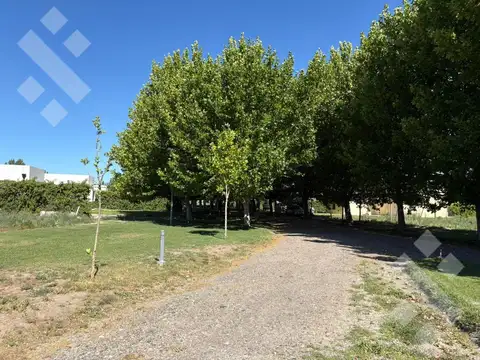 Terreno en Venta 50  mts Fondo