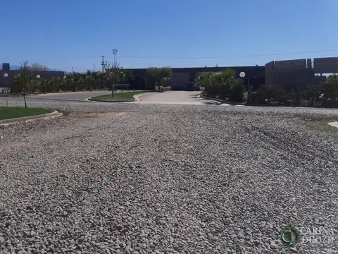 Terreno en Venta 12  mts Frente