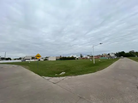 Viamonte entre Los Cardos y Santa Cruz