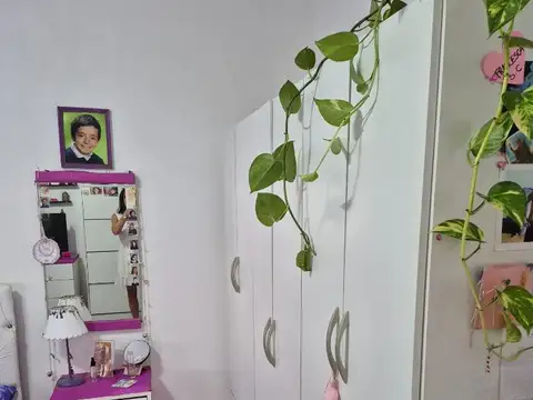 TRES CASAS TIPO DEPTO: 2 EN P.BAJA UNA CON GARAGE UNA P ALTA