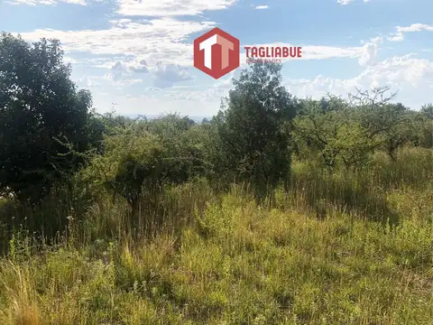 Terreno en Venta en Los Nogales, USD 99.000