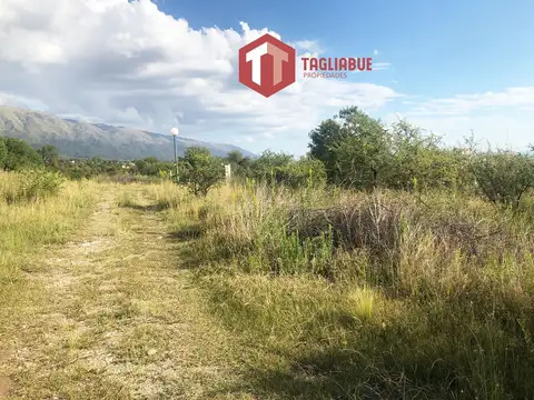 Increible Marco Serrano