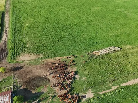 Zona Rural - Totoras