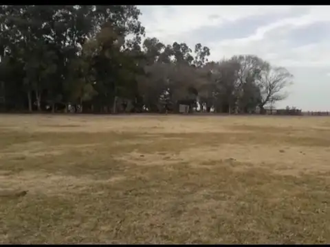 Campo  ganadero : Saladillo ,57,37 hectáreas
