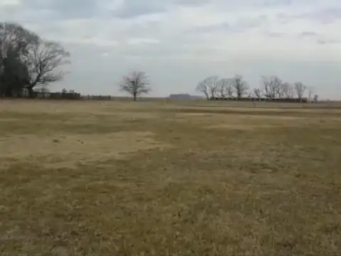 Campo  ganadero : Saladillo ,57,37 hectáreas