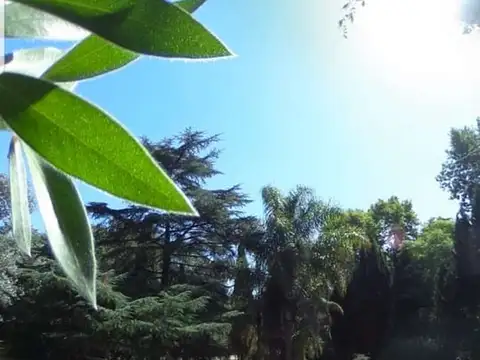 Quinta en Venta 38 años