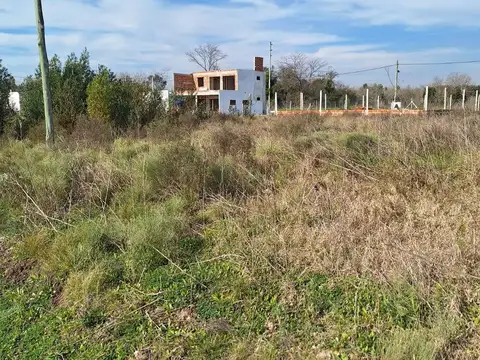 Finca Los Cerezos - 76 y 159