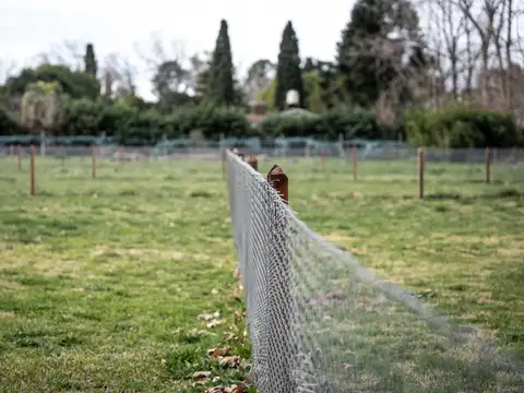 Parque Pero