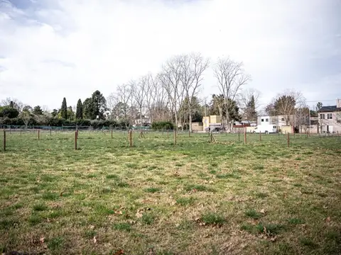 Terreno en Venta en Barrio Parque Pero, USD 50.000