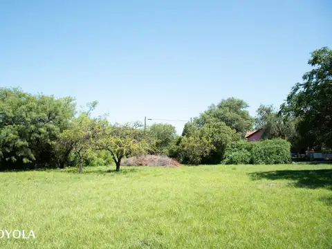 Terreno Céntrico en venta Merlo San Luis con Gas Natural
