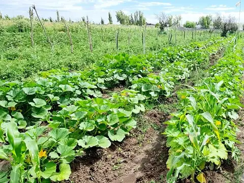 VENTA FINCA 5,8 HECTAREAS CORRALITOS GUAYMALLEN