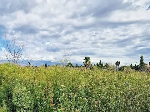 VENTA FINCA 5,8 HECTAREAS CORRALITOS GUAYMALLEN