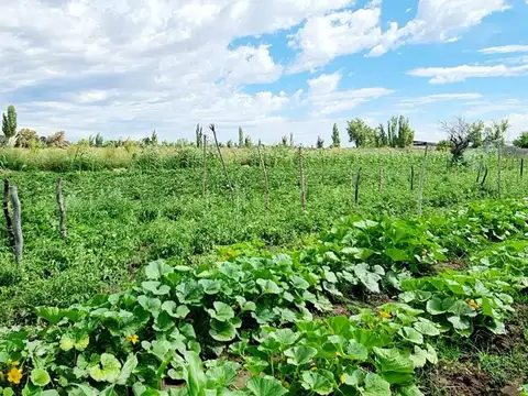 Severo del Castillo 3600