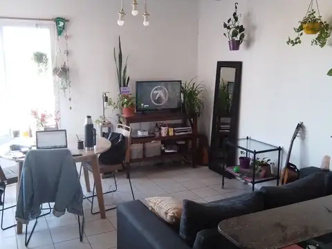 LENCINAS 200