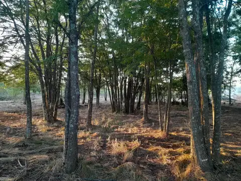 Terreno en Venta en Los Talas, USD 28.000