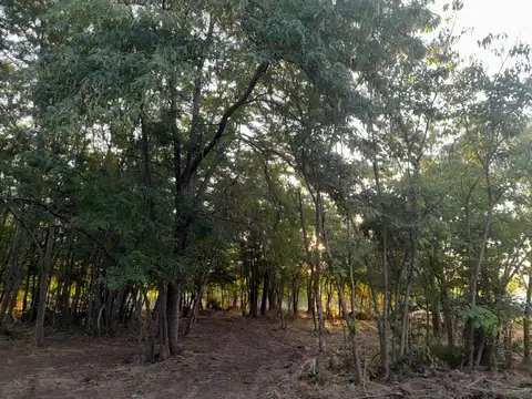 Terreno en Venta 48  mts Frente