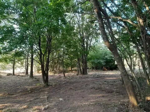 terreno en venta calle 548