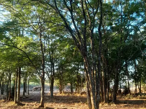 terreno en venta calle 548