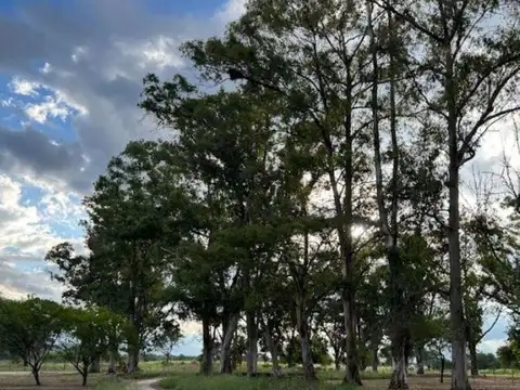Terreno en Venta en Los Olmos, USD 17.700