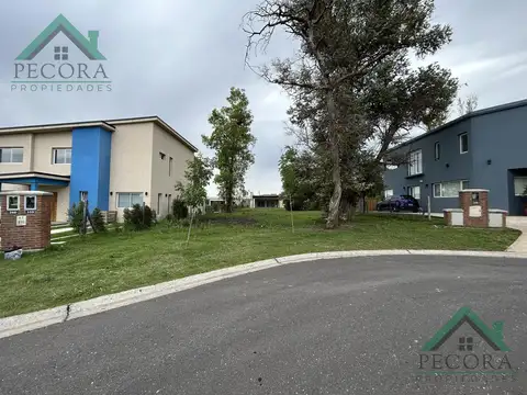Terreno en Venta en Pilar Del Este, USD 60.000
