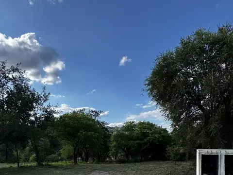 Maitenes de la Deseada