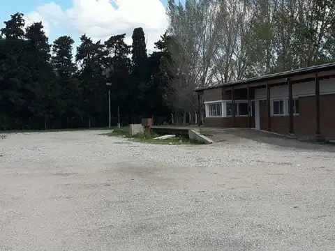 Planta de silos y galpón Serodino